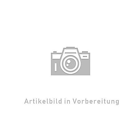 Gott allein genügt